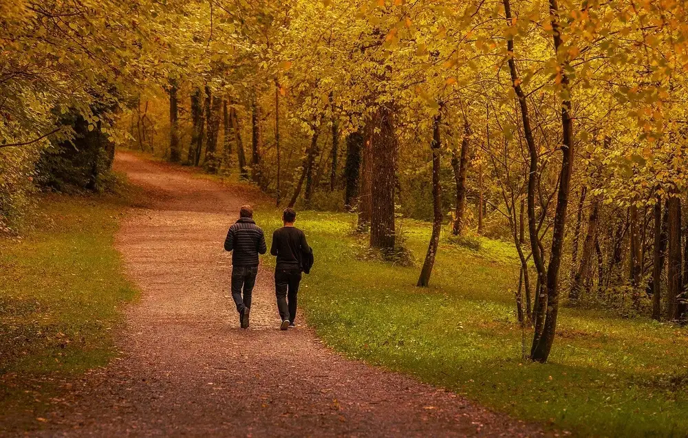 Zwei Menschen gehen einen Waldweg entlang